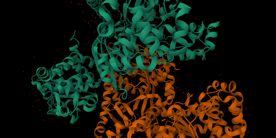 Kaggle competition: CAFA6 protein function prediction