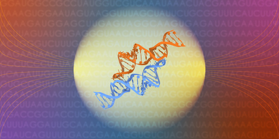 Kaggle Competition: Stanford RNA 3D folding